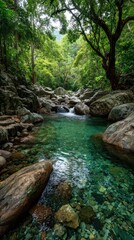 Serene Creek Through Forest Scene