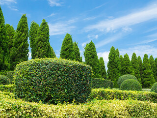 Topiary trees decoration park on blue sky background, green leaves garden plant outdoor spring time nature foliage for tourism travel vacation in holidays, environment ecosystem concept.