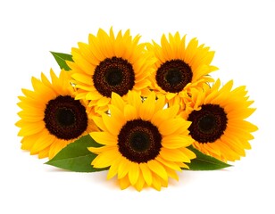Fototapeta premium Bouquet of bright yellow sunflowers