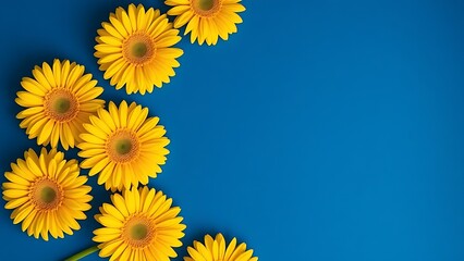 Vibrant yellow flowers arranged in a circular pattern against a deep blue background, evoking spring freshness.