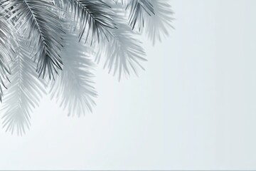 Light gray palm fronds casting soft shadows on a light background