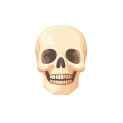 Fototapeta premium Skull illustration human lip.