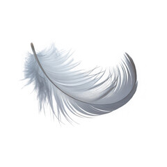 Obraz premium palok on white and transparent background.