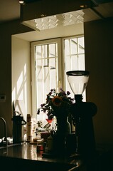 Sunlit Caf&eacute; Counter with Coffee Grinder and Flowers Yerevan, Armenia