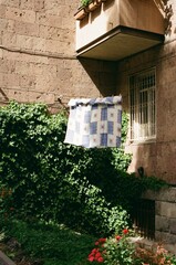 Laundry Hanging Over Garden with Ivy Yerevan, Armenia