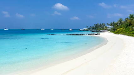 tropical beach with palm trees