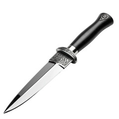 A single ornate ceremonial athame, highly polished metal blade, sleek black handle, isolated on a seamless transparent studio background with expert shadowless lighting, ultra photorealistic product