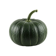A single deeply ribbed dark green pumpkin, unblemished and uniform in color, showcased centrally on a transparent seamless studio background with bright shadowless lighting, pristine product display
