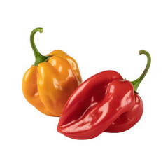 wo orange habanero peppers isolated on transparent and white background..