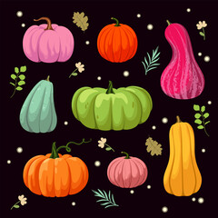 Set of colorful pumpkins on a dark background. Vector illustration.
