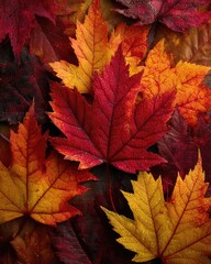 Autumnal Maple Leaf Assortment