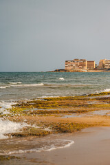 waves on the beach