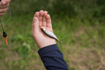 Child's hand holding small fish during fishing activity outdoors