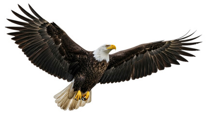 Obraz premium Majestic bald eagle soaring with wings spread wide against a transparent background, cutout PNG