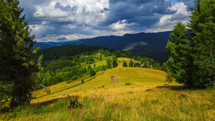 A picturesque golden meadow with haystacks, pine trees, and distant mountains under a cloudy sky,...