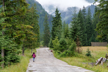 Solitary Hiker on a Rural Mountain Road