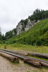  Logs and a Rocky Mountain Hillside