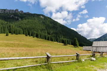 Fototapeta premium Rustic Fence and Mountain Meadow