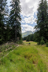  Mountain Meadow with Seating