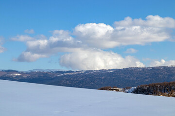 Obraz premium A field covered with white snow, a hill with winter trees in the background, blue sky and white clouds