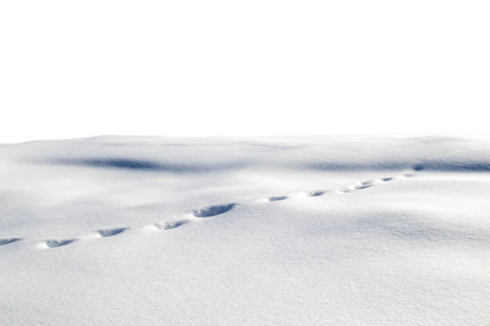 Just a snowy hill, covered in snow, isolated. - Powered by Adobe