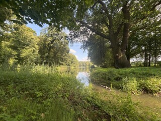 Park w Rakoniewicach