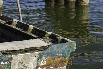 wildlife inside the lagoon of the Po river Delta, Comacchio, Ferrara, Italy