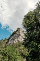 Mountain Cliff and Forest
