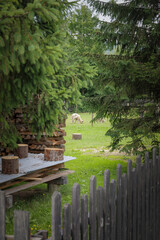 Scenic Mountain Farm