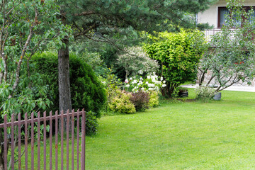 Suburban Garden View