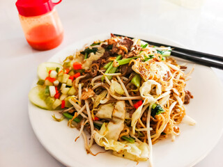 Plate of Appetizing Stir Fried Noodles with Chicken and Veggies
