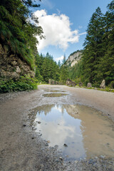 Puddles on a Mountain Road