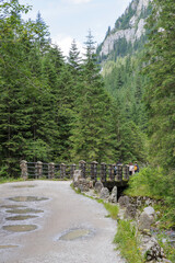 Hikers Crossing a Forest Bridge