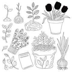 Hand drawn illustration of gardening elements including plants seedlings and flowers