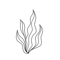 seaweed outline