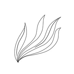 seaweed outline