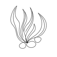 seaweed outline