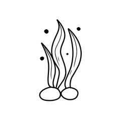 seaweed outline