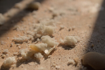 Breadcrumbs on a wooden cutting board illuminated by the rays of the setting sun