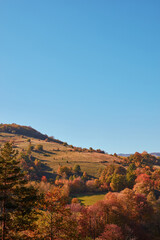 Autumn colored trees and countryside landscape scenery.