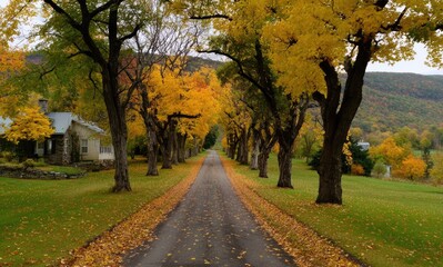 Naklejka premium Autumnal driveway lined with vibrant trees