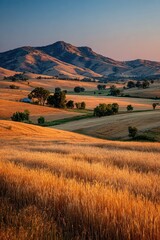 Obraz premium Golden fields and a mountain vista at dawn