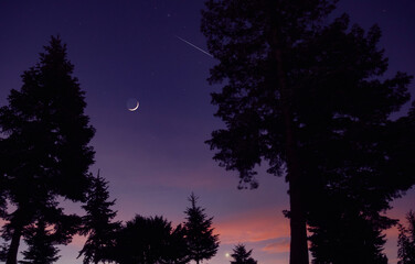 Crescent young Moon with stars, planets and rural countryside tree silhouettes.