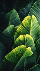 Tropical Foliage Greenery