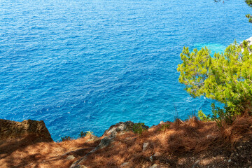 view from the cliff covered with forest on sea surface with small waves as background or texture,...