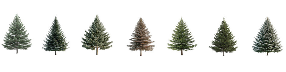 Fototapeta premium Collection of green pine and fir trees for Christmas and winter holiday cards, isolated on a transparent background. PNG