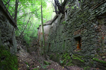 Moss-covered ruins of Fort Owcza Góra hidden in forest undergrowth in Kłodzko, Poland