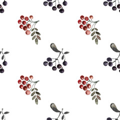 Autumn park. Simple seamless watercolor pattern with the image of bunches of red rowan with a green leaf and black chokeberry. Hand drawing on a white background for the design of packaging, fabric