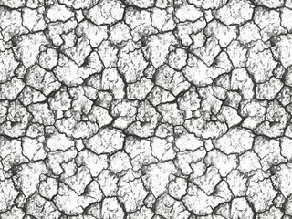 High-resolution seamless cracked earth texture, ideal for drought, climate change, environmental themes, or use as a grunge background and surface pattern design.