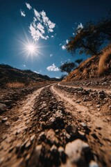 Dirt Road Through Arid Hills Under Sunny Skies